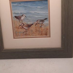 Framed Sandpiper Birds Print by Nan